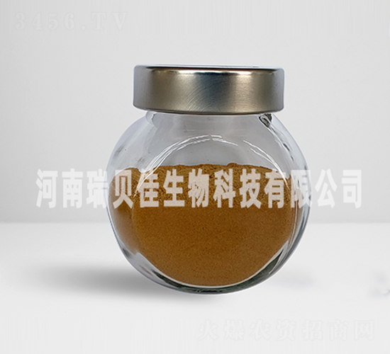 16.6%�����������}-��ؐ������