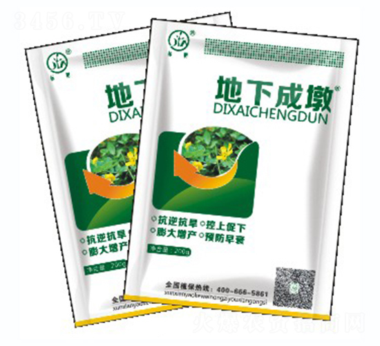 ���³ɶշۄ�-��(bi��o)������