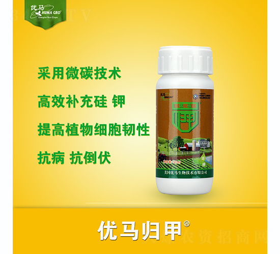 ��(y��u)�R�w��-��(y��u)�R����