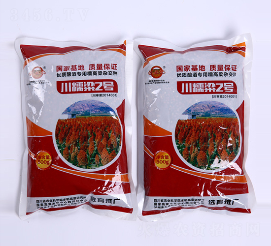 川糯梁2號(hào)-高粱種子-金土地