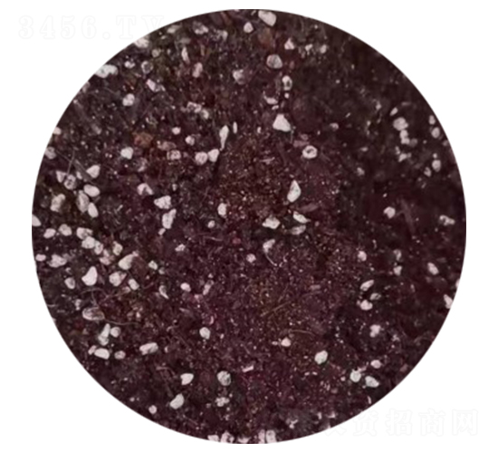 �����ЙC(j��)�ʣ��w����-�����r(n��ng)�I(y��)