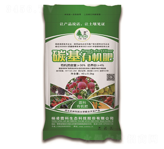 ̼���ЙC��-�����ؿ�