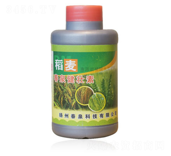 ����������-��Ȫ