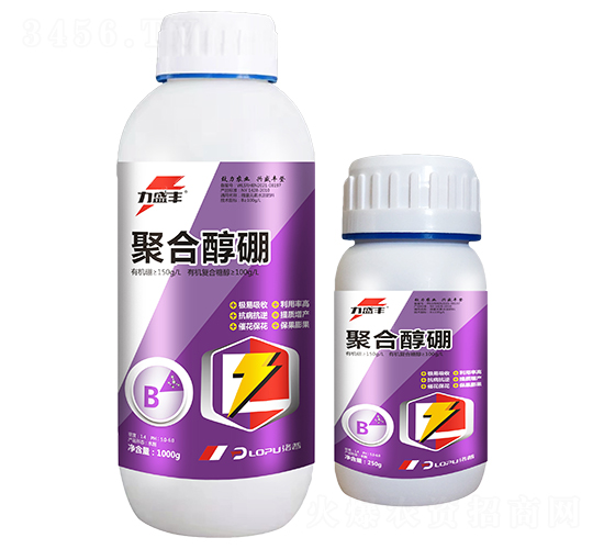 �ۺϴ���-��ʢ�S-�����r�I(y��)