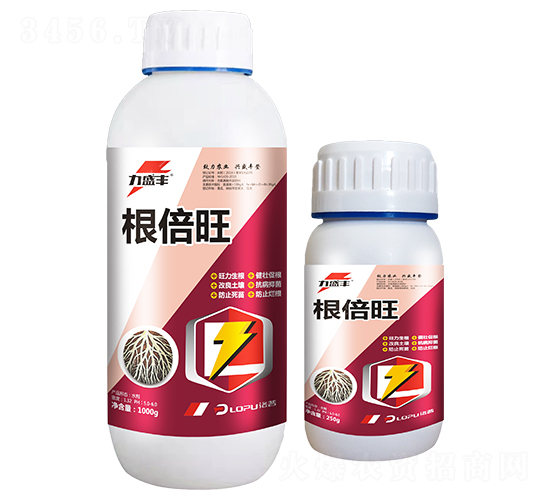 ������-��ʢ�S-�����r(n��ng)�I(y��)