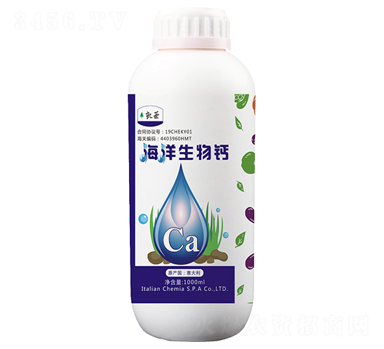 ���������}-������-����}