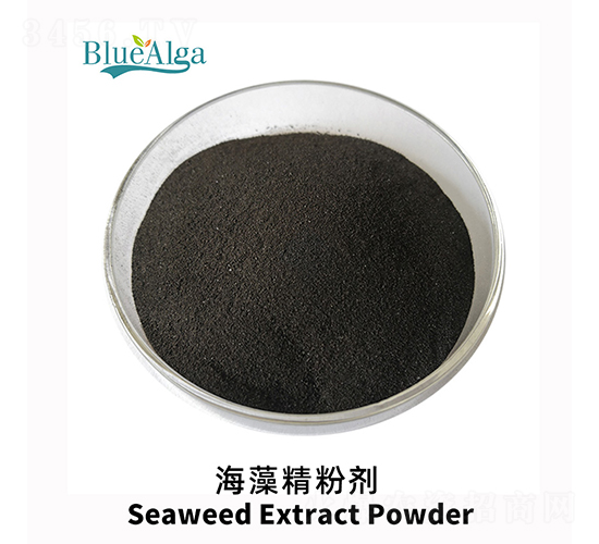 ���徫�ۄ�-���u�{��