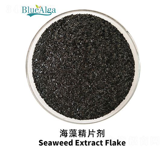 海藻精片劑-青島藍(lán)寶