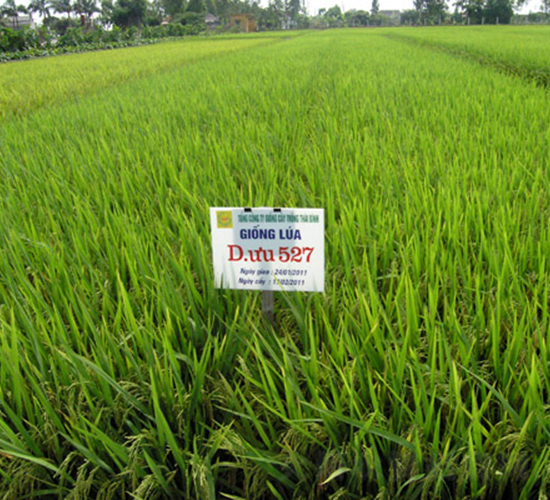 D��(y��u)527-ˮ���N��-���C�N�I(y��)