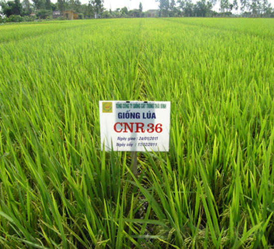 D��(y��u)13-ˮ���N��-���C�N�I(y��)