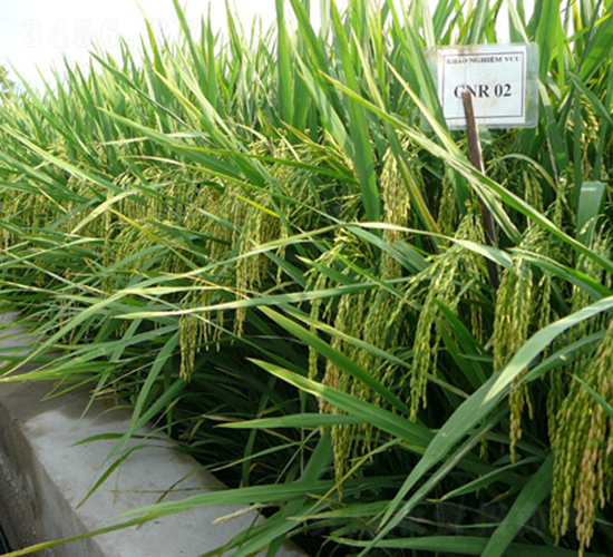 ���202-ˮ���N��-���C�N�I(y��)