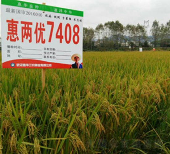 �݃Ƀ�(y��u)7408-ˮ���N��-���A���r