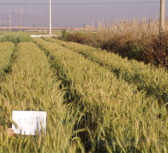 ����50̖(h��o)-С���N��-���S�N�I(y��)