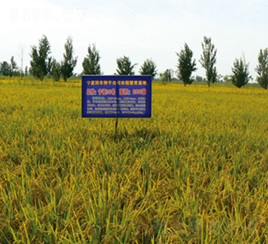 ����36̖(h��o)-ˮ���N��-���S�N�I(y��)