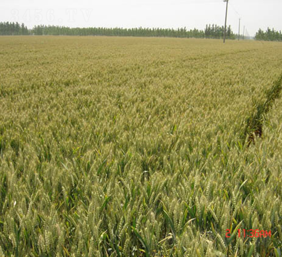 ��(j��)��22-С���N��-�y�d�N�I(y��)