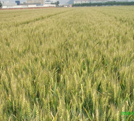 ��(j��)��20-С���N��-�y�d�N�I(y��)