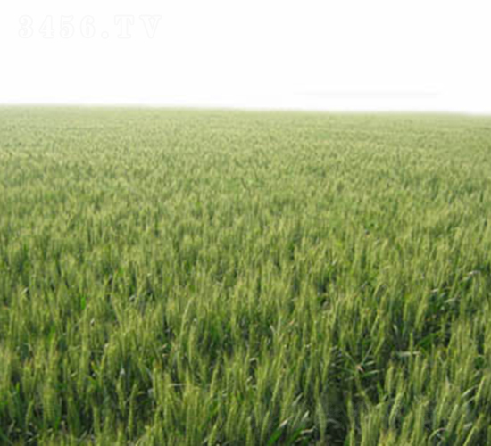 ����66-С���N��-�y�d�N�I(y��)