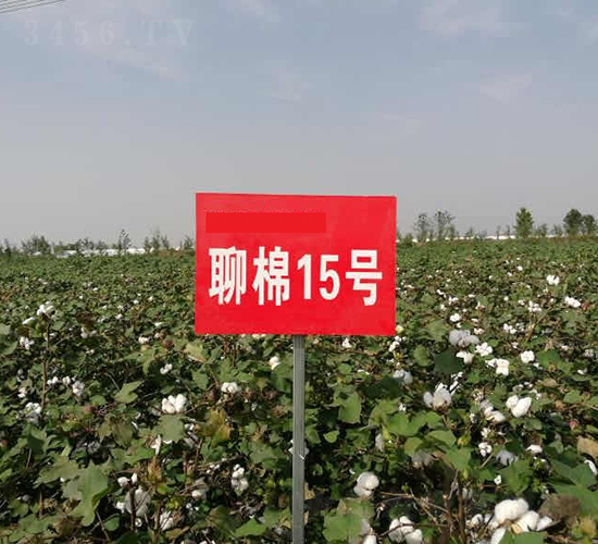 ����15̖(h��o)-�޻��N��-�y�d�N�I(y��)