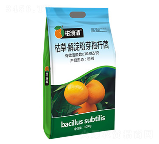 �ݲݡ������ѿ�ߗU��-�̝���-�T�_(d��)