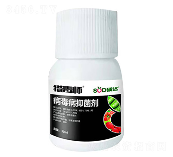 ���������Ƅ�-�C����-�T�_(d��)