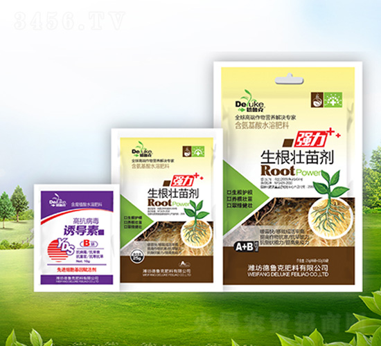 �������焩+�T��(d��o)��-������