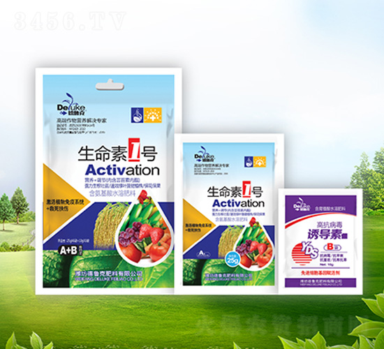 ������1̖(h��o)+�T��(d��o)��-������