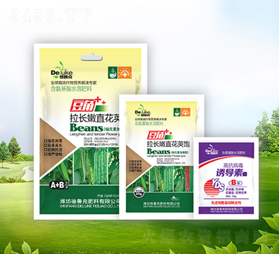 �������L��ֱ���v�+�T����-������