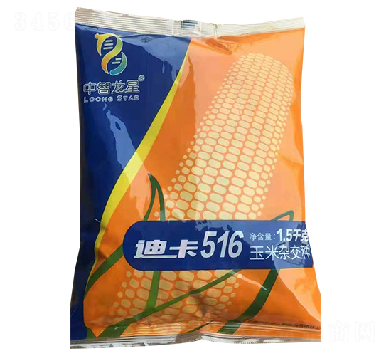 迪卡516-玉米種子-中智龍星