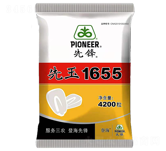 先玉1655-玉米種子-中智龍星