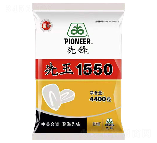 先玉1550-玉米種子-中智龍星