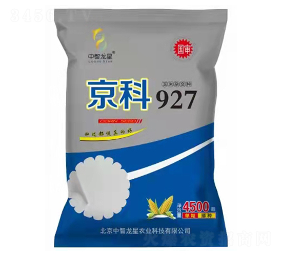 京科927-玉米種子-中智龍星