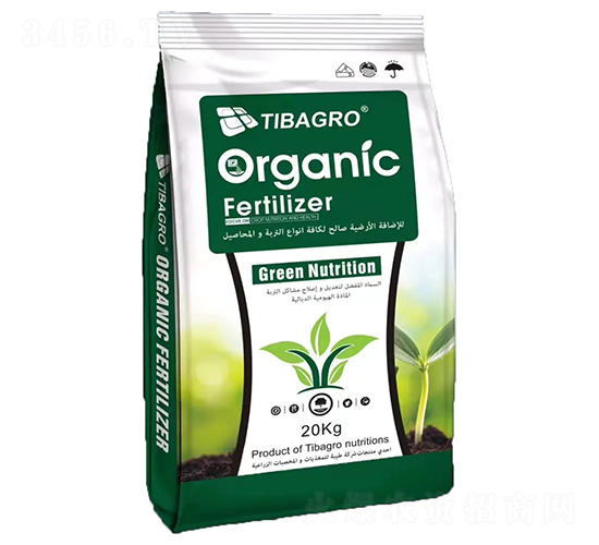 ̼�ƌ�-���Ÿ��_-����̩��