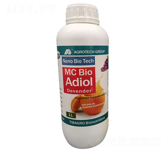 ����-���Ÿ��_-����̩��