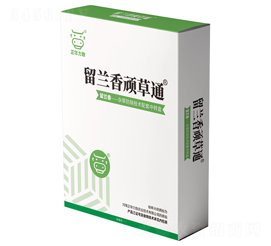 留蘭香頑草通-正華力致