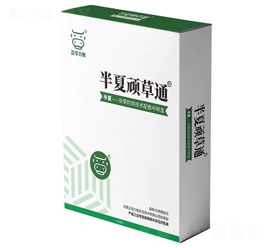 �����B��ͨ-���A����