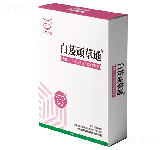 ��ܸ�B��ͨ-���A����