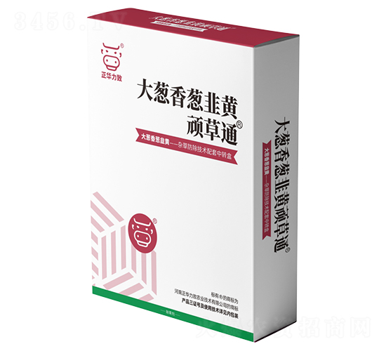 ���[�����[�����S�B��ͨ-���A����