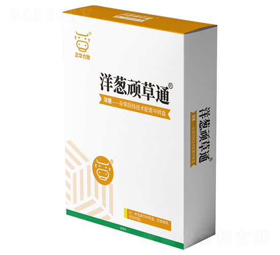 ���[�B��ͨ-���A����