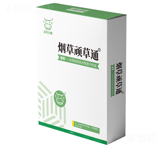 �����B��ͨ-���A����