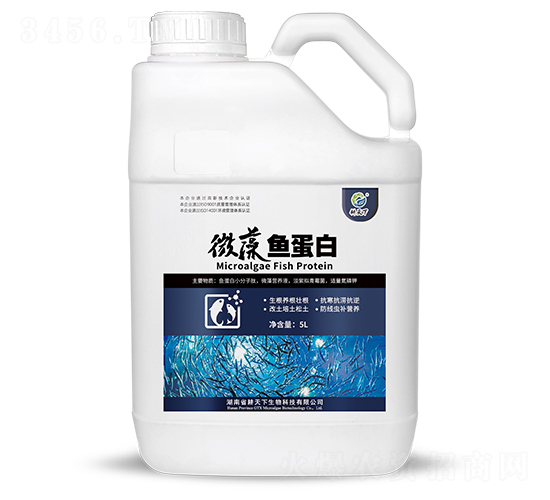 ΢���~����-������