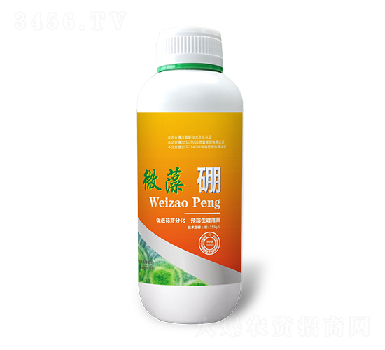 ΢����-������