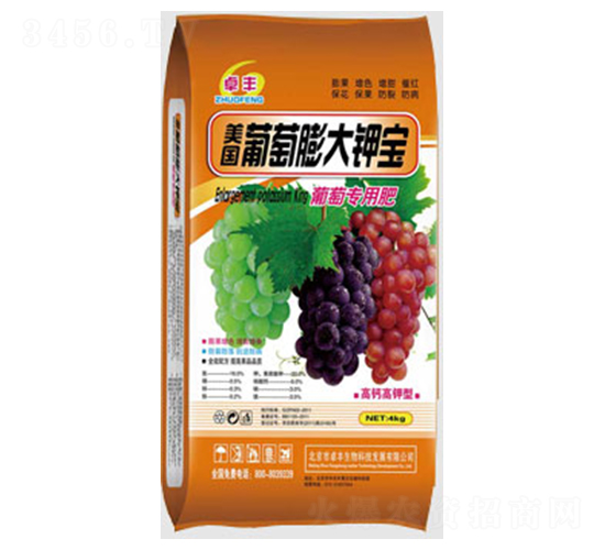 �������⛌�-�����ʘI(y��)