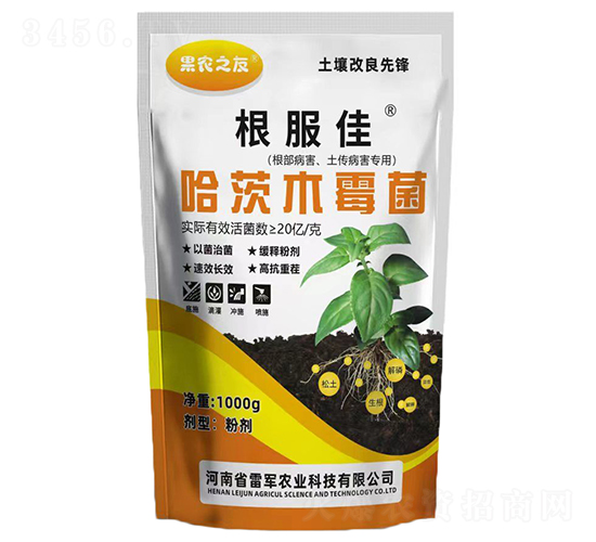 ����ľù��-������-��܊�r�I(y��)