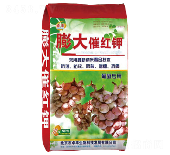 ���ь���-���߼t�-�����ʘI(y��)