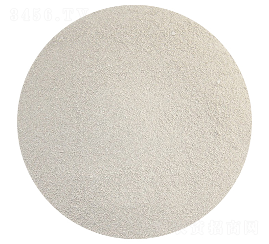 ����һ�@���w����-��ӷʘI(y��)