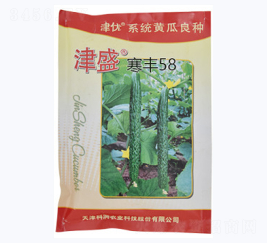 津盛寒豐58-黃瓜種子-科潤種業(yè)