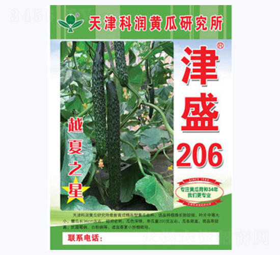 津盛206-黃瓜種子-科潤種業(yè)