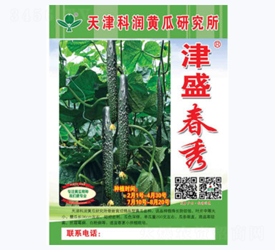津盛春秀-黃瓜種子-科潤種業(yè)