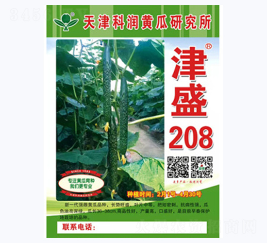 津盛208-黃瓜種子-科潤(rùn)種業(yè)