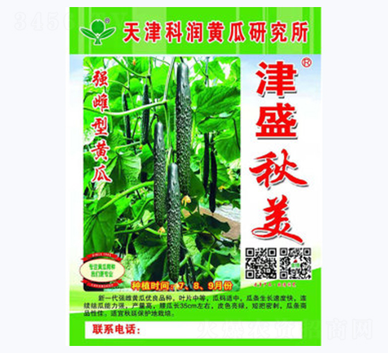 津盛秋美-黃瓜種子-科潤(rùn)種業(yè)
